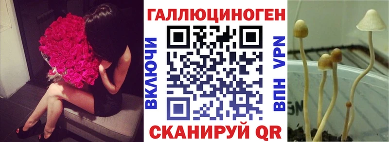 мориарти телеграм  Ливны  Псилоцибиновые грибы Psilocybe  купить наркотики цена  hydra рабочий сайт 