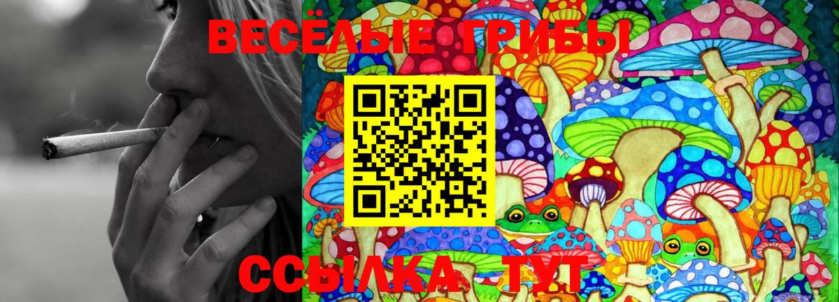 Псилоцибиновые грибы GOLDEN TEACHER  Вход с VPN  Ливны  Галлюциногенные грибы Magic Shrooms 