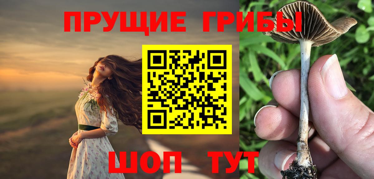Псилоцибиновые грибы мухоморы Ливны